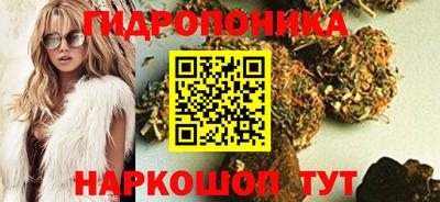 ГАЛЛЮЦИНОГЕННЫЕ ГРИБЫ Чебаркуль