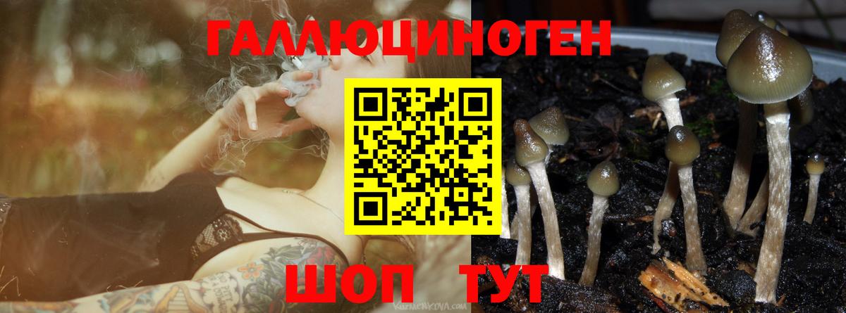 Псилоцибиновые грибы прущие грибы Миллерово